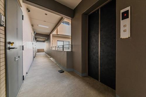 廊下2025年6月撮影）