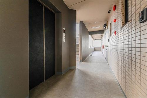 廊下（2025年6月撮影）