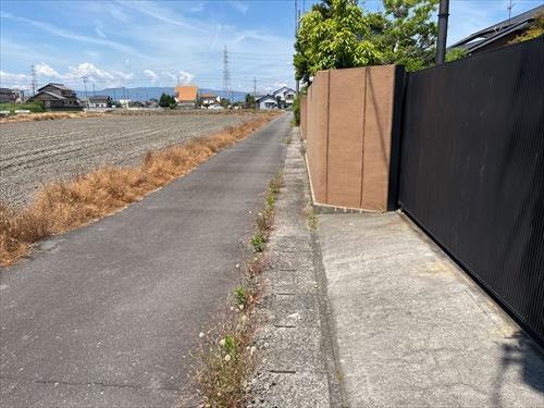 現地写真(2026年5月撮影)