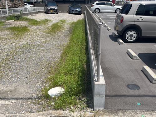 現地写真(2026年7月撮影) 現地写真(2026年7月撮影)