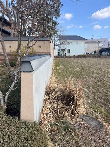 南側境界付近 (2026年2月撮影)