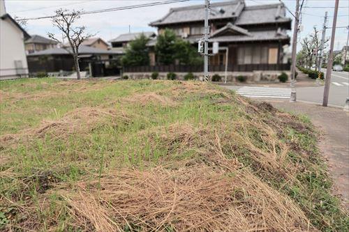 現地(南東側から)-1