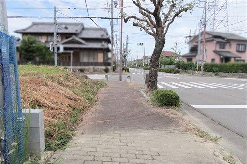 東側歩道-2