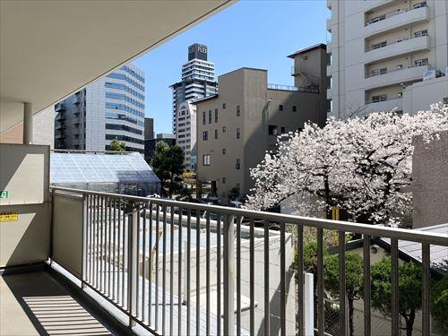 バルコニーからの眺望-1 バルコニーからの眺望-1