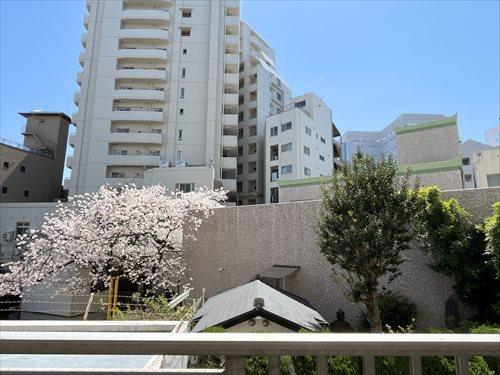 バルコニーからの眺望-2 バルコニーからの眺望-2