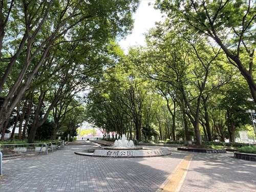 白川公園まで990m