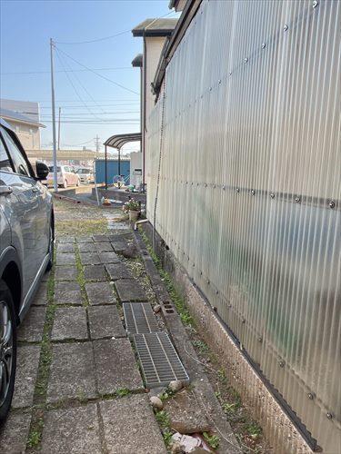 西側境界付近(2026年1月撮影)-2