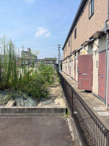 南東側境界付近(2025年8月撮影)