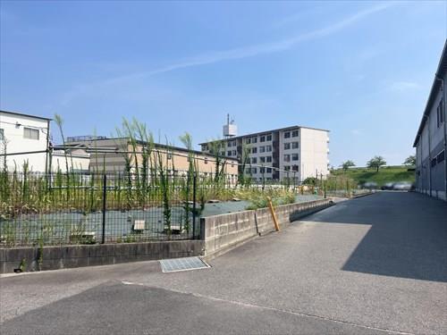 北西側境界付近(2025年8月撮影)