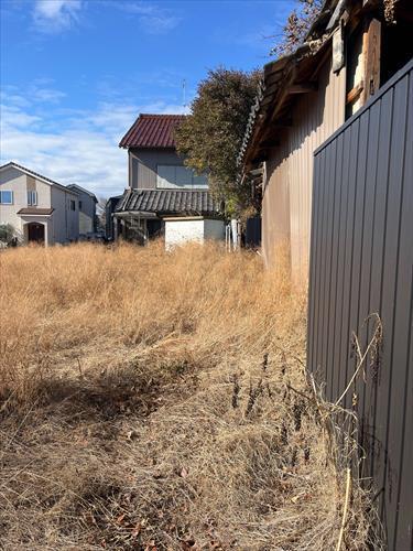 北東側境界付近 (2026年1月撮影)