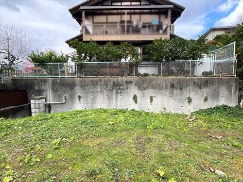 北西側敷地(2025年11月撮影)