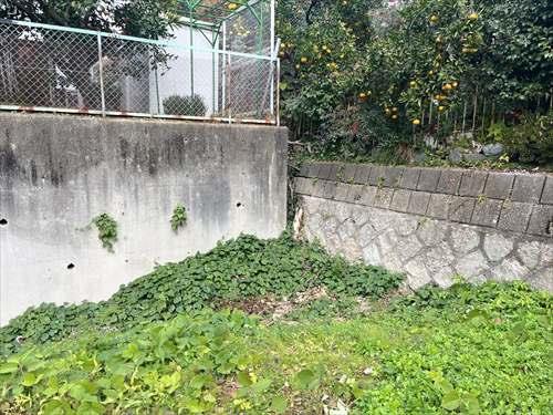 北側境界付近(2025年11月撮影)