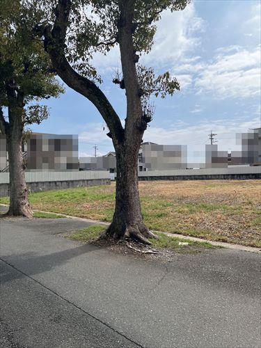 現地北側(2026年2月撮影)