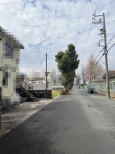 現地北側前面道路(2026年2月撮影)