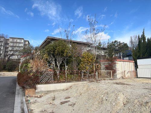 南東側境界付近(2026年1月撮影)-2