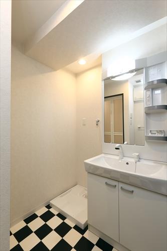 901号室　洗面室