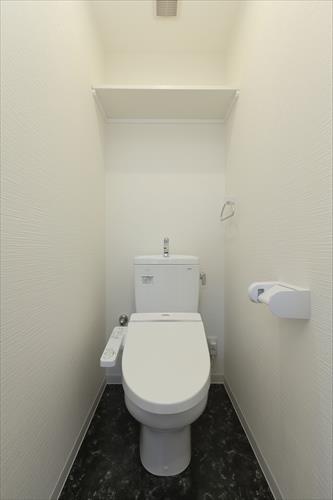 901号室　トイレ