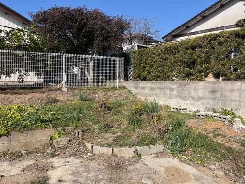 北側境界付近 (2026年1月撮影)