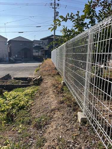 北西側境界付近 (2026年1月撮影)