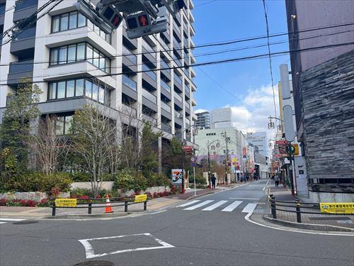 南側前面道路-2 (2026年2月撮影)