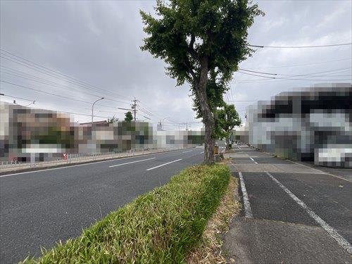 前面道路(2026年6月撮影)