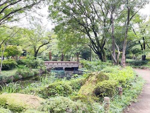 井草森公園(780m)