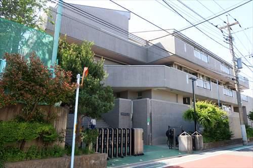 杉並区立桃井第五小学校(630m)