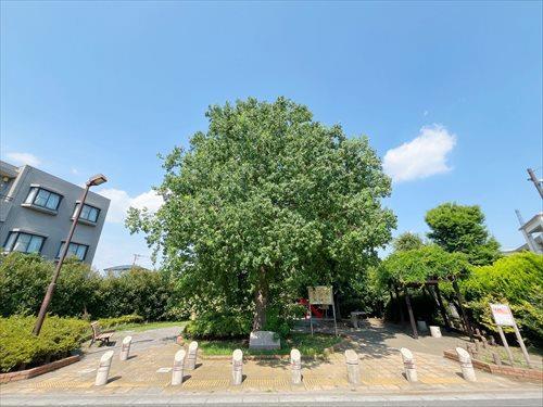 練馬区立北五らいらっく児童遊園100ｍ