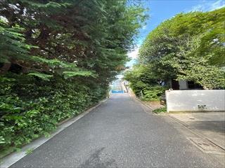 前面道路(北側)