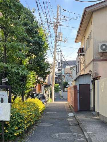 前面道路（東側）