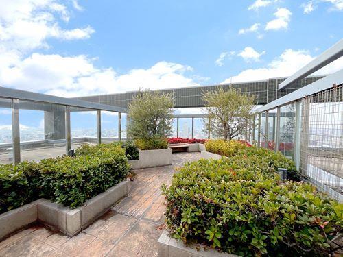 屋上 ジ・エアロガーデン