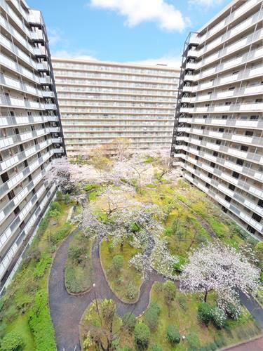 【共用部】中庭