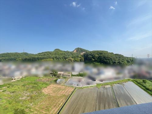 バルコニーからの眺望