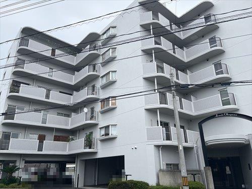 外観（西側より撮影）