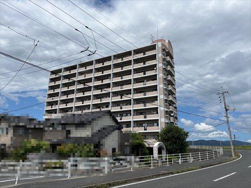 外観（南側より撮影）