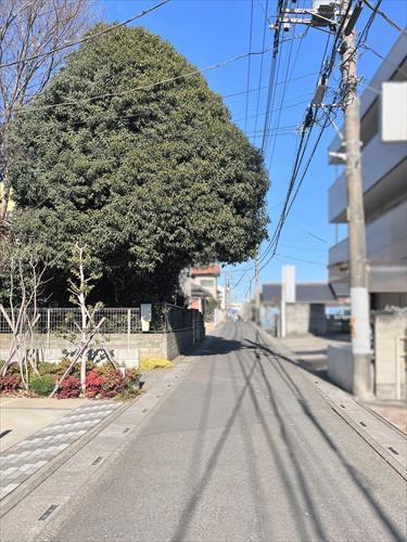 前面道路‐2026年2月撮影