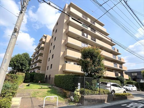 現地写真_2025年9月撮影