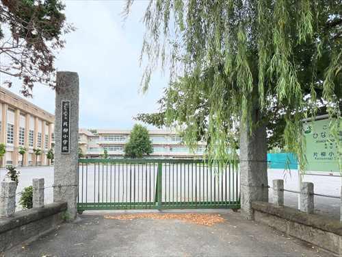 さいたま市立片柳小学校‐490m