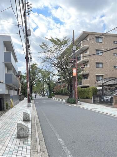 前面道路含む現地（2025年10月撮影）