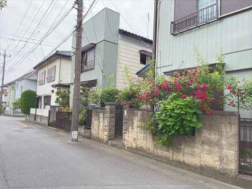 現地写真_2025年5月撮影 現地写真_2025年5月撮影