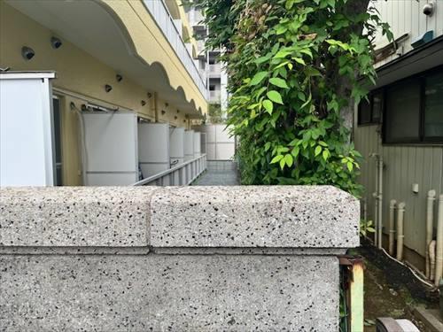 現地（2025年6月撮影）