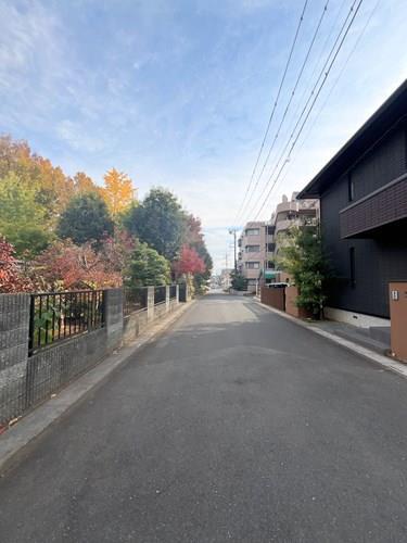 前面道路_2025年11月撮影