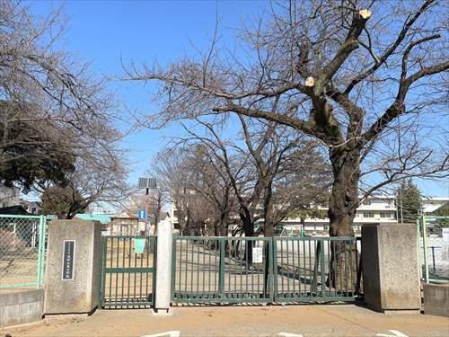 さいたま市立大砂土東小学校まで1100m