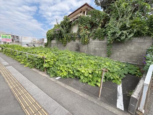 前面道路含む現地‐2025年10月撮影