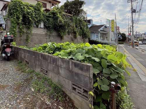 前面道路含む現地‐2025年10月撮影