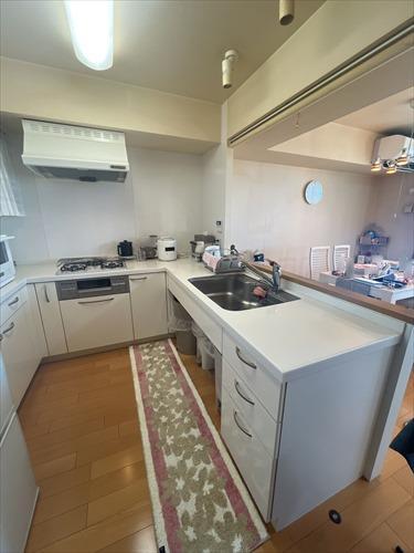 キッチン　2025年12月撮影