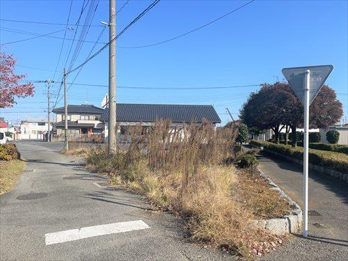 現地写真‗2025年11月撮影