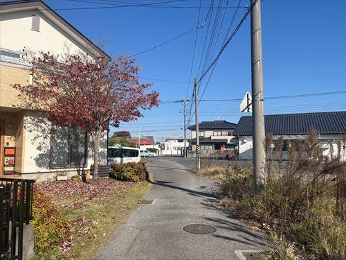 西側前面道路‗2025年11月撮影