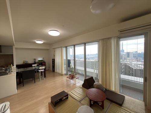 LD（2025年12月撮影）