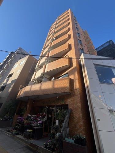 南東側より撮影